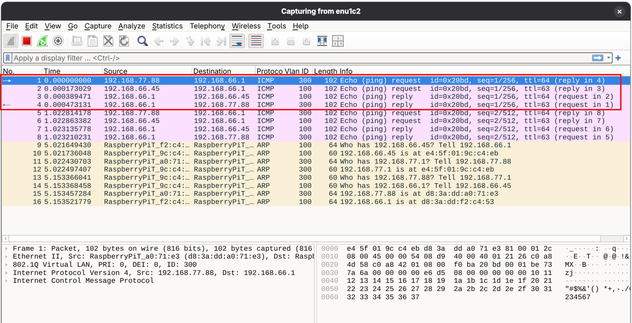 vlan-ping-wireshark.png